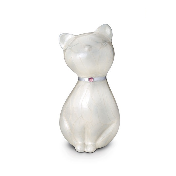 Urnas Gato